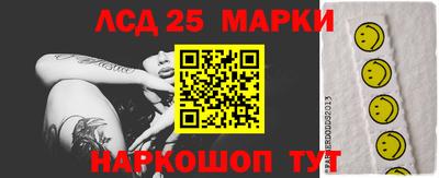 индика Усть-Илимск